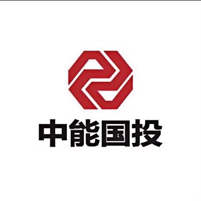 中能国投